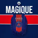 Paris Small Flag