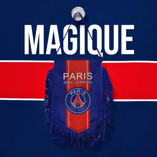Paris Small Flag